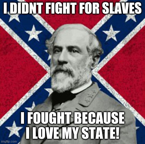 Robert E Lee |  I DIDNT FIGHT FOR SLAVES; I FOUGHT BECAUSE I LOVE MY STATE! | image tagged in robert e lee | made w/ Imgflip meme maker
