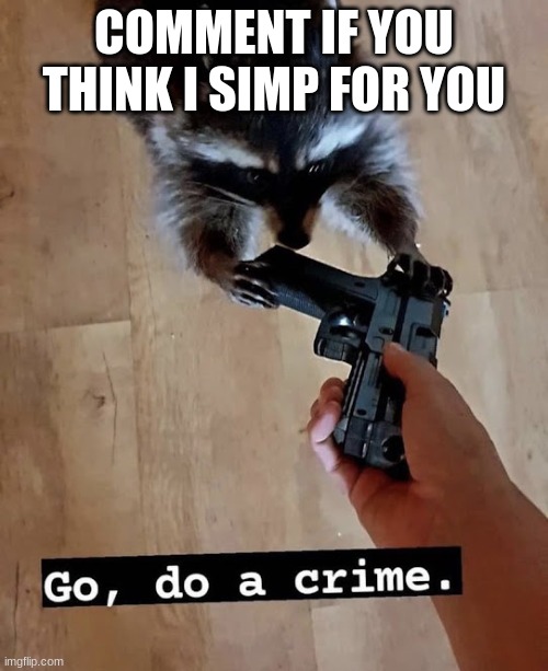 go do a crime | COMMENT IF YOU THINK I SIMP FOR YOU | image tagged in go do a crime | made w/ Imgflip meme maker