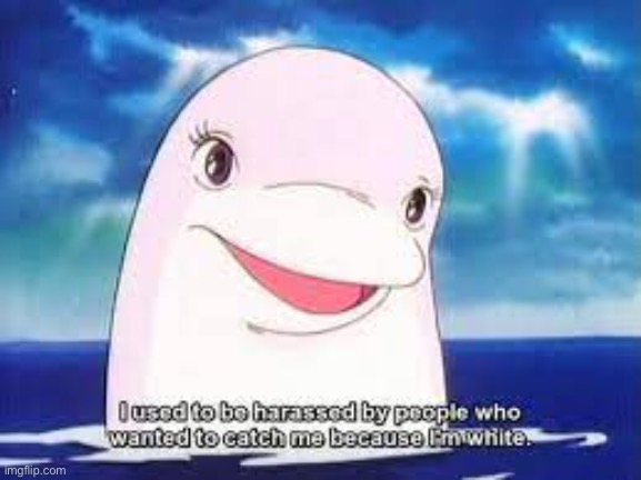 Dolphins | image tagged in anime,funny,funny memes | made w/ Imgflip meme maker