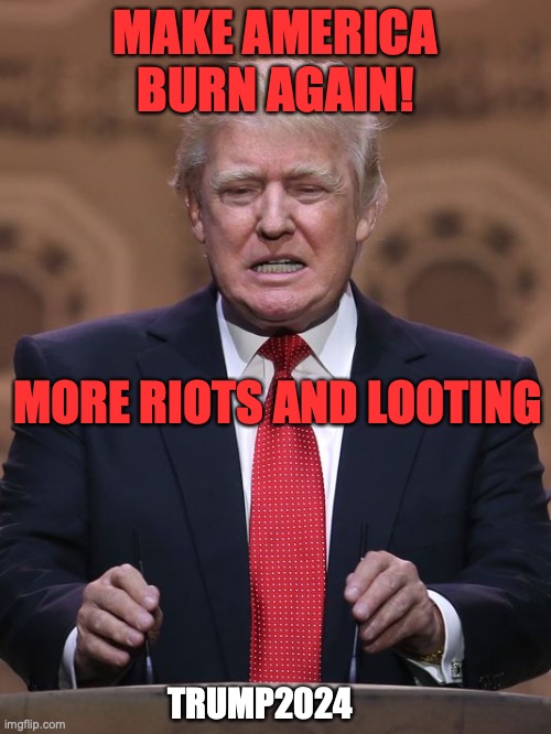 Donald Trump | MAKE AMERICA BURN AGAIN! MORE RIOTS AND LOOTING; TRUMP2024 | image tagged in donald trump | made w/ Imgflip meme maker