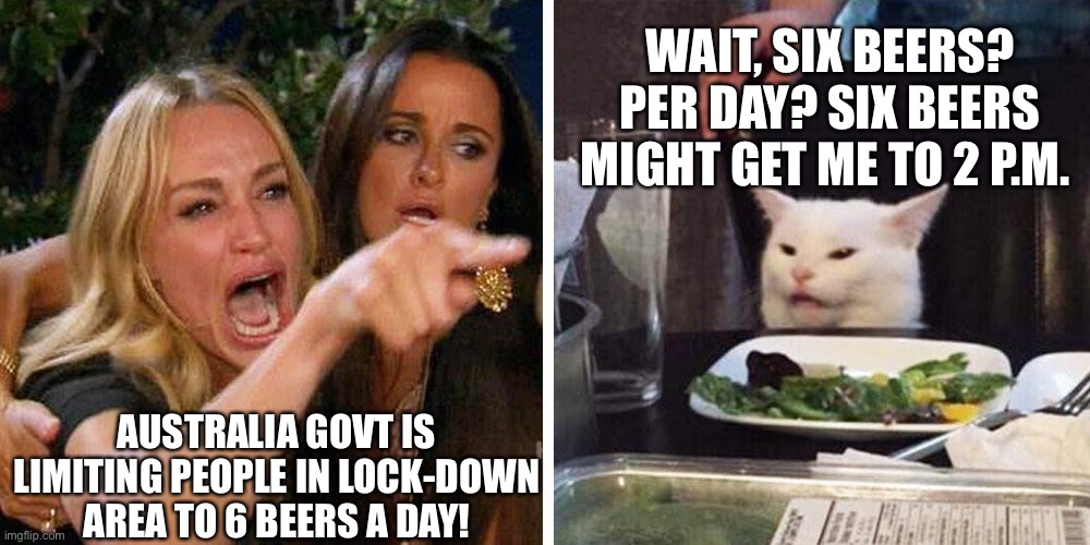 Australia govt is limiting people in lock-down area to 6 beers a day! | WAIT, SIX BEERS? PER DAY? SIX BEERS MIGHT GET ME TO 2 P.M. AUSTRALIA GOVT IS LIMITING PEOPLE IN LOCK-DOWN AREA TO 6 BEERS A DAY! | image tagged in smudge the cat,australia govt limits alcohol,political meme,big brother,australia,new world order | made w/ Imgflip meme maker