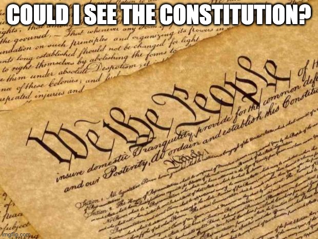 Constitution | COULD I SEE THE CONSTITUTION? | image tagged in constitution | made w/ Imgflip meme maker