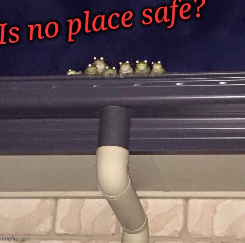 Is no place safe? | made w/ Imgflip meme maker