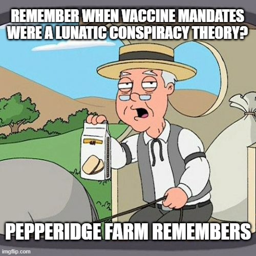 Pepperidge Farm Remembers Meme | REMEMBER WHEN VACCINE MANDATES WERE A LUNATIC CONSPIRACY THEORY? PEPPERIDGE FARM REMEMBERS | image tagged in memes,pepperidge farm remembers,libertarianmeme | made w/ Imgflip meme maker