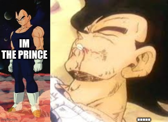 IM THE PRINCE; ..... | image tagged in vegeta | made w/ Imgflip meme maker