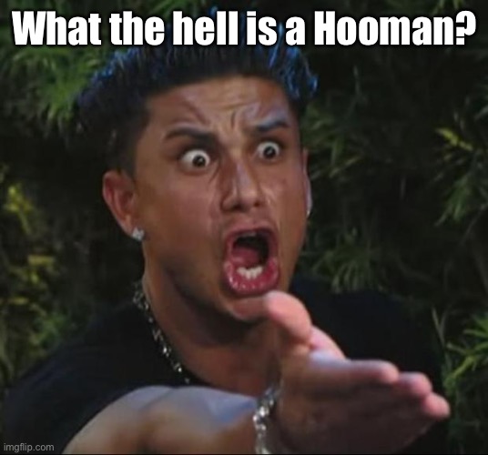 DJ Pauly D Meme | What the hell is a Hooman? | image tagged in memes,dj pauly d | made w/ Imgflip meme maker