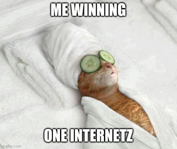 win one internetz | ME WINNING; ONE INTERNETZ | image tagged in win one internetz | made w/ Imgflip meme maker