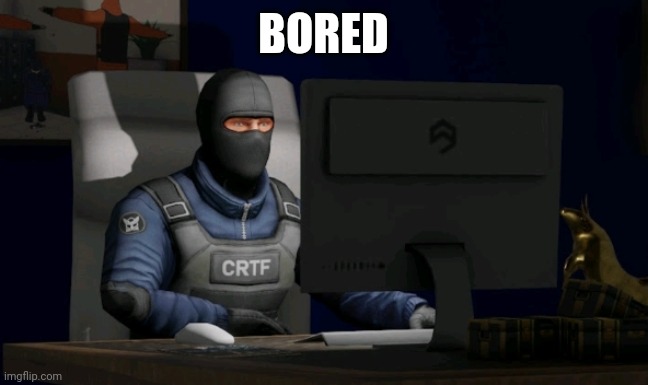 counter-terrorist looking at the computer | BORED | image tagged in computer | made w/ Imgflip meme maker