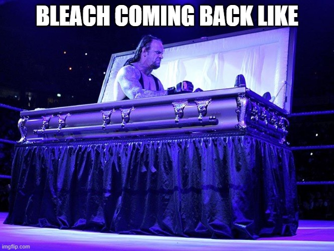 Undertaker Coffin | BLEACH COMING BACK LIKE | image tagged in undertaker coffin | made w/ Imgflip meme maker