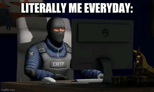 counter-terrorist looking at the computer | LITERALLY ME EVERYDAY: | image tagged in computer | made w/ Imgflip meme maker