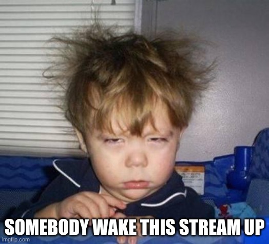 Wake up | SOMEBODY WAKE THIS STREAM UP | image tagged in wake up | made w/ Imgflip meme maker