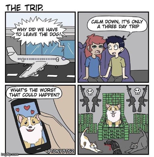 o dear lol | image tagged in comics/cartoons,funny,dogs,animals,road trip | made w/ Imgflip meme maker