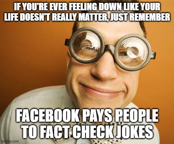 IF YOU'RE EVER FEELING DOWN LIKE YOUR LIFE DOESN'T REALLY MATTER, JUST REMEMBER; FACEBOOK PAYS PEOPLE TO FACT CHECK JOKES | image tagged in fact check,facebook problems,funny,funny meme,humor | made w/ Imgflip meme maker