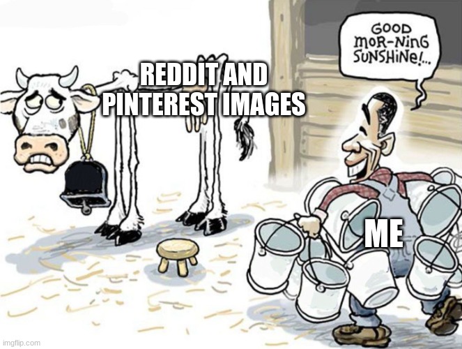 milking the cow | REDDIT AND PINTEREST IMAGES; ME | image tagged in milking the cow | made w/ Imgflip meme maker