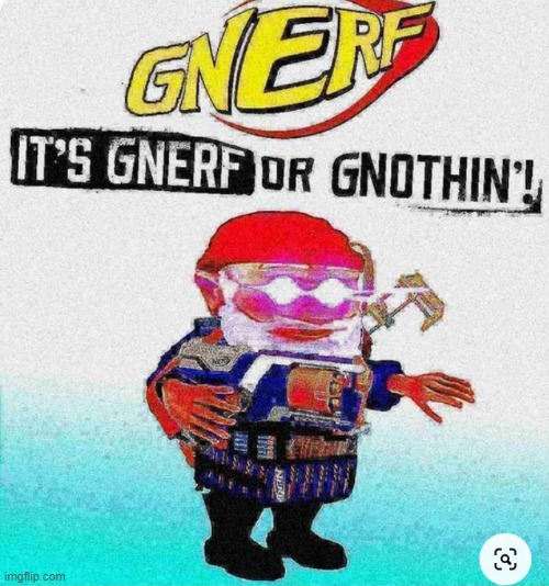 You've been GNERFED | image tagged in gnomed | made w/ Imgflip meme maker