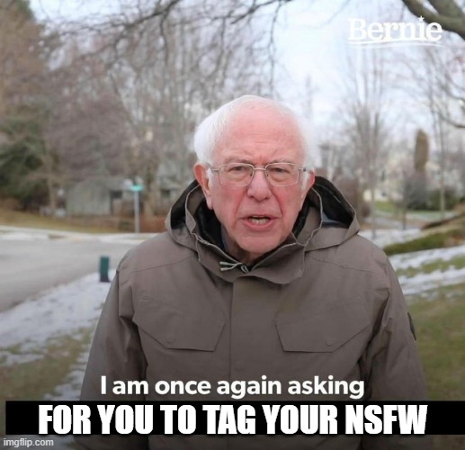 like, seriously. had to do a quick draw on the scroll to not have that on my feed at work | FOR YOU TO TAG YOUR NSFW | image tagged in bernie | made w/ Imgflip meme maker