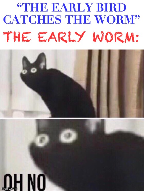 uh oh | “THE EARLY BIRD CATCHES THE WORM”; THE EARLY WORM: | image tagged in oh no cat,uh oh,early bird,worm,dark humor,funny | made w/ Imgflip meme maker