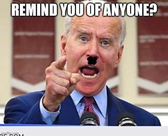 Joe Biden no malarkey | REMIND YOU OF ANYONE? | image tagged in hitler biden,dictator | made w/ Imgflip meme maker