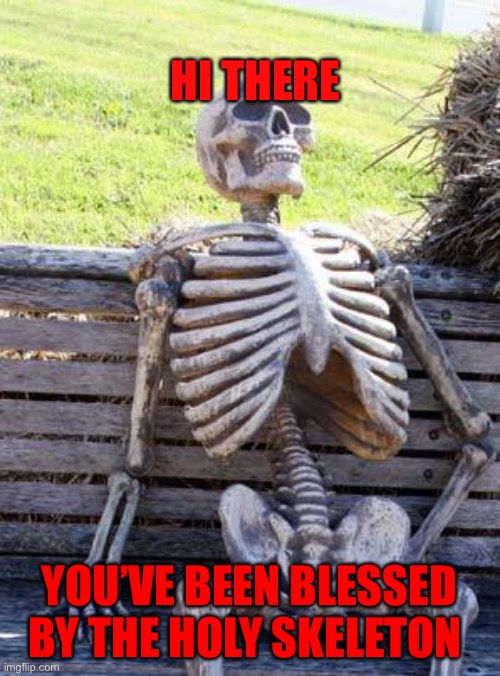 You’ve been blessed | HI THERE; YOU’VE BEEN BLESSED BY THE HOLY SKELETON | image tagged in memes,waiting skeleton | made w/ Imgflip meme maker