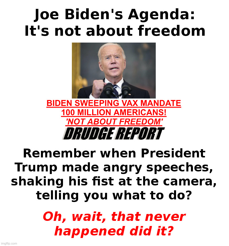 Joe Biden's Agenda: It's Not About Freedom | image tagged in joe biden,unfit for office,13 reasons why,donald trump,your country needs you,maga | made w/ Imgflip meme maker