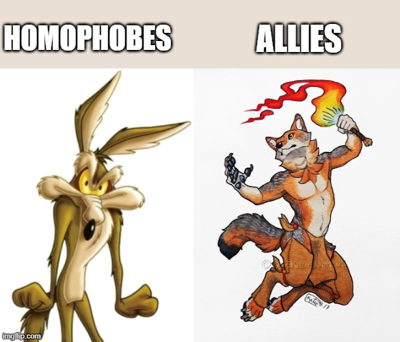 Both coyotes, Except the one on the right is a Deity xD | ALLIES; HOMOPHOBES | image tagged in wile e coyote,coyote,memes,allies,ally,lgbtq | made w/ Imgflip meme maker