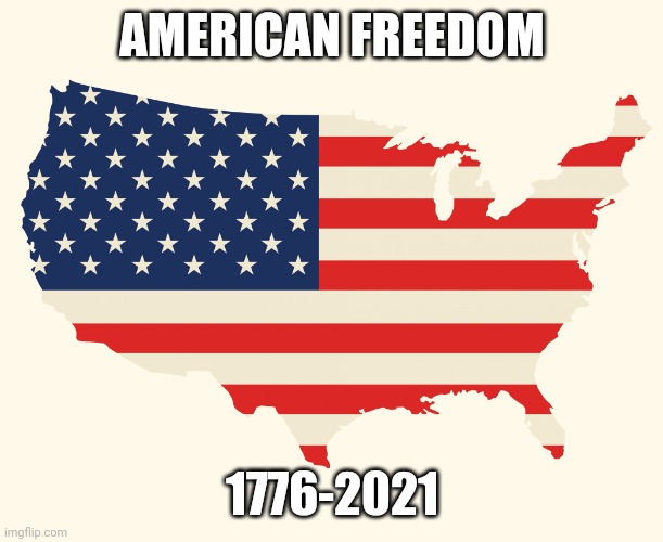 Because of mandated vaccines | AMERICAN FREEDOM; 1776-2021 | image tagged in us flag | made w/ Imgflip meme maker