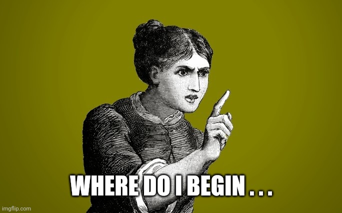 Tsk Tsk - Woman | WHERE DO I BEGIN . . . | image tagged in tsk tsk - woman | made w/ Imgflip meme maker