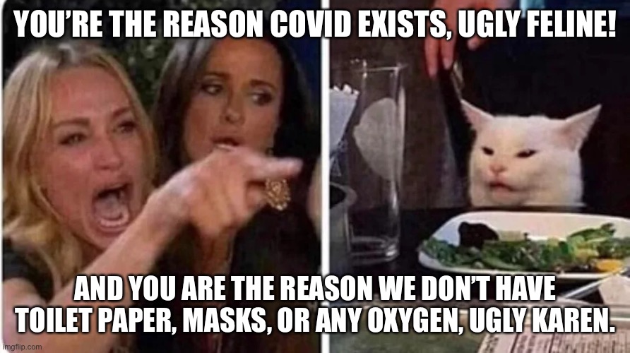 Confused Cat at Dinner | YOU’RE THE REASON COVID EXISTS, UGLY FELINE! AND YOU ARE THE REASON WE DON’T HAVE TOILET PAPER, MASKS, OR ANY OXYGEN, UGLY KAREN. | image tagged in confused cat at dinner | made w/ Imgflip meme maker