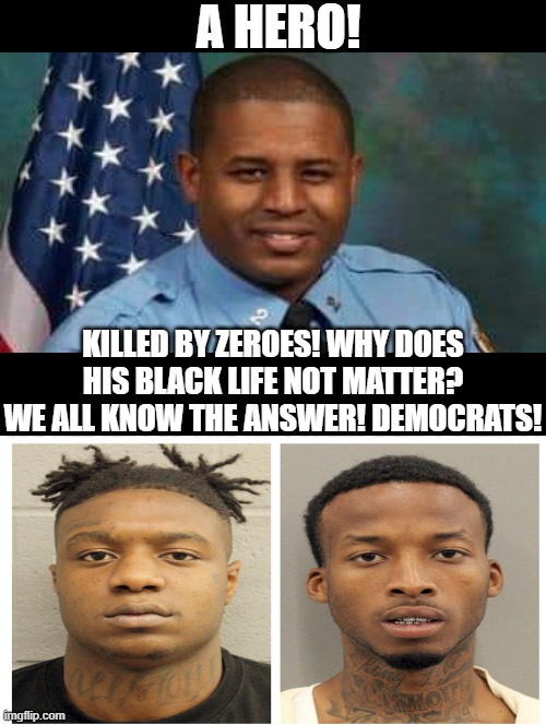 We all know the answer! Democrats!! | A HERO! KILLED BY ZEROES! WHY DOES HIS BLACK LIFE NOT MATTER? WE ALL KNOW THE ANSWER! DEMOCRATS! | image tagged in stupid people,racists,morons,idiots,biden,stupid liberals | made w/ Imgflip meme maker