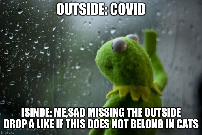 kermit window | OUTSIDE: COVID; ISINDE: ME,SAD MISSING THE OUTSIDE DROP A LIKE IF THIS DOES NOT BELONG IN CATS | image tagged in kermit window | made w/ Imgflip meme maker