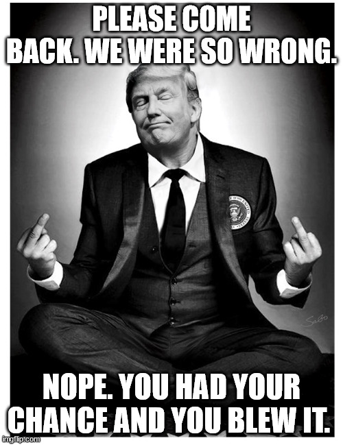 You had your chance | PLEASE COME BACK. WE WERE SO WRONG. NOPE. YOU HAD YOUR CHANCE AND YOU BLEW IT. | image tagged in president,bird | made w/ Imgflip meme maker