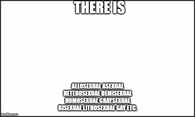 sexualitys | THERE IS; ALLOSEXUAL	ASEXUAL
HETEROSEXUAL	DEMISEXUAL
HOMOSEXUAL	GRAYSEXUAL
BISEXUAL	LITHOSEXUAL GAY ETC. | image tagged in plain white | made w/ Imgflip meme maker