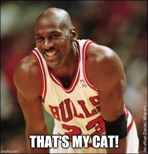 Michael Jordan | THAT'S MY CAT! | image tagged in michael jordan | made w/ Imgflip meme maker