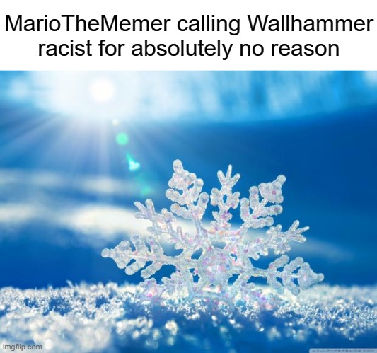 snowflake | MarioTheMemer calling Wallhammer racist for absolutely no reason | image tagged in snowflake | made w/ Imgflip meme maker