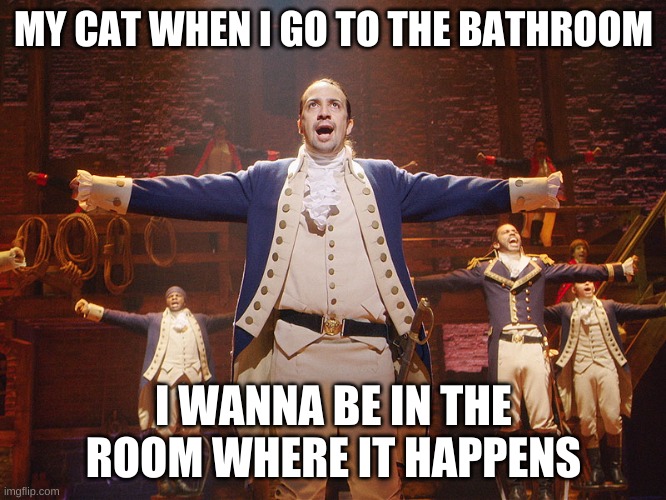 Hamilton | MY CAT WHEN I GO TO THE BATHROOM; I WANNA BE IN THE ROOM WHERE IT HAPPENS | image tagged in hamilton | made w/ Imgflip meme maker
