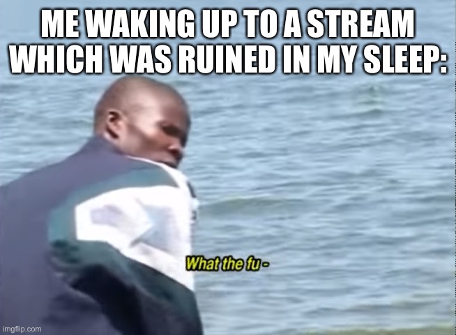 How did anarchy happen so fast? | ME WAKING UP TO A STREAM WHICH WAS RUINED IN MY SLEEP: | image tagged in what the fu- | made w/ Imgflip meme maker