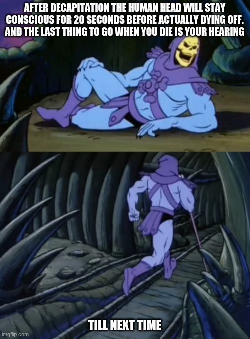It's true | AFTER DECAPITATION THE HUMAN HEAD WILL STAY CONSCIOUS FOR 20 SECONDS BEFORE ACTUALLY DYING OFF. AND THE LAST THING TO GO WHEN YOU DIE IS YOUR HEARING; TILL NEXT TIME | image tagged in disturbing facts skeletor | made w/ Imgflip meme maker