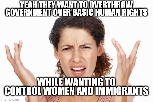 Indignant | YEAH THEY WANT TO OVERTHROW GOVERNMENT OVER BASIC HUMAN RIGHTS; WHILE WANTING TO CONTROL WOMEN AND IMMIGRANTS | image tagged in indignant | made w/ Imgflip meme maker