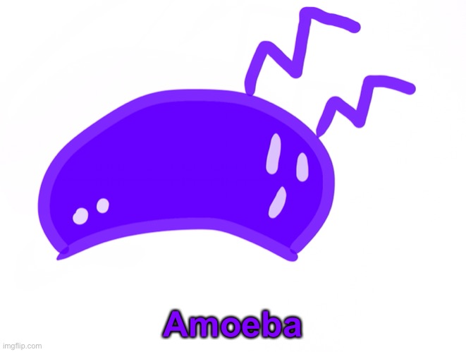 It’s an OC now cause i said so | Amoeba | made w/ Imgflip meme maker