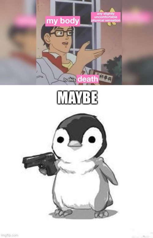 MAYBE | image tagged in is this a pigeon,penguin | made w/ Imgflip meme maker