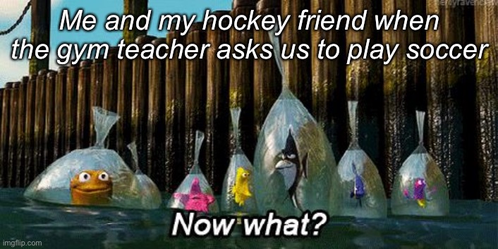 Now What? | Me and my hockey friend when the gym teacher asks us to play soccer | image tagged in now what | made w/ Imgflip meme maker