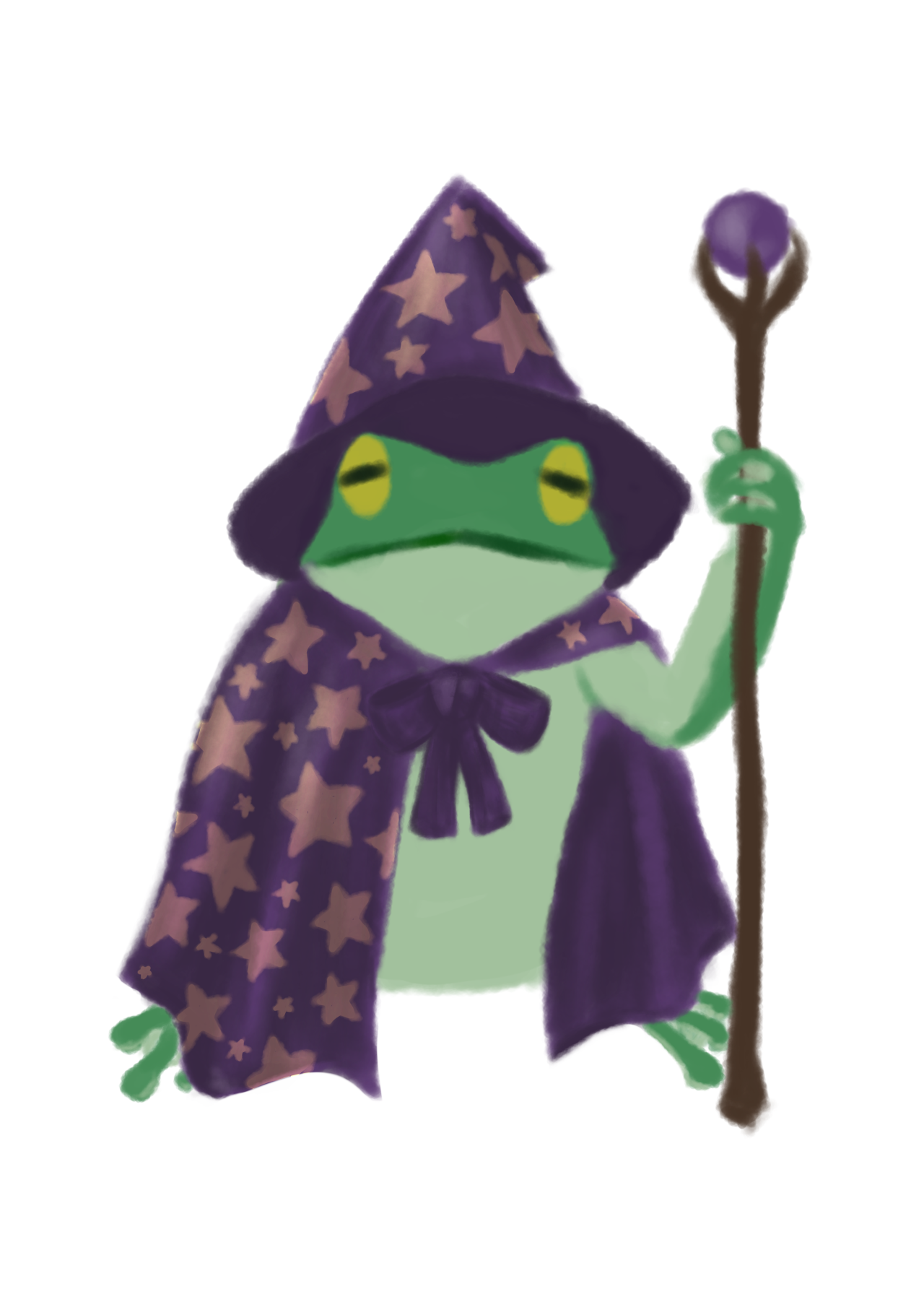 High Quality froggy wizard Blank Meme Template