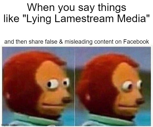 Unintentional Foreign Actor: You either don't know or don't care to |  When you say things like "Lying Lamestream Media"; and then share false & misleading content on Facebook | image tagged in memes,monkey puppet,mainstream media,media,facebook | made w/ Imgflip meme maker