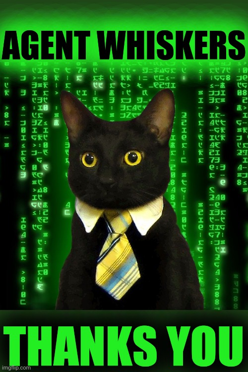 Business Cat Matrix | AGENT WHISKERS THANKS YOU | image tagged in business cat matrix | made w/ Imgflip meme maker