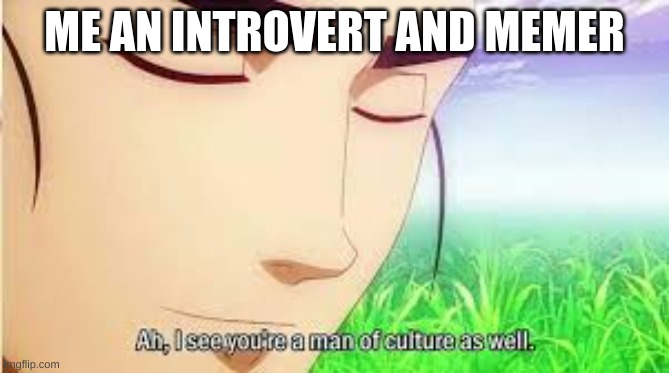 mn | ME AN INTROVERT AND MEMER | image tagged in ah i see you are a man of culture as well | made w/ Imgflip meme maker
