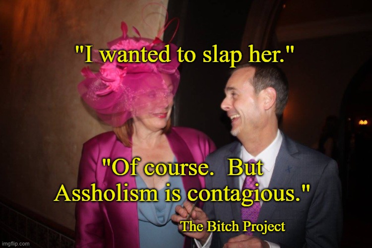 "I wanted to slap her."; "Of course.  But Assholism is contagious."; The Bitch Project | image tagged in funny memes | made w/ Imgflip meme maker
