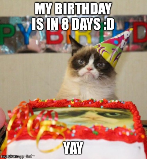 Grumpy Cat Birthday | MY BIRTHDAY IS IN 8 DAYS :D; YAY | image tagged in memes,grumpy cat birthday,grumpy cat | made w/ Imgflip meme maker