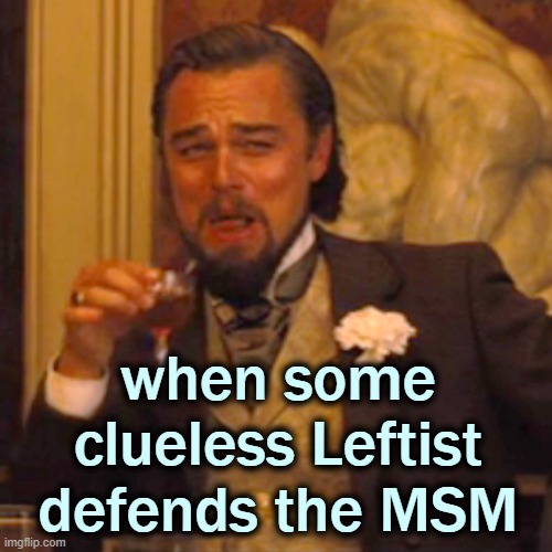 Laughing Leo Meme | when some clueless Leftist defends the MSM | image tagged in memes,laughing leo | made w/ Imgflip meme maker