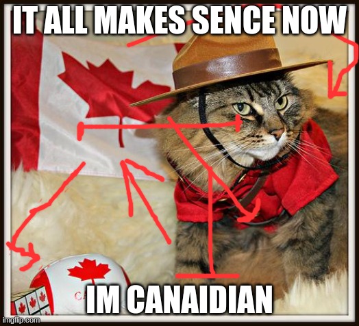 Canada Cat | IT ALL MAKES SENCE NOW; IM CANAIDIAN | image tagged in canada cat | made w/ Imgflip meme maker