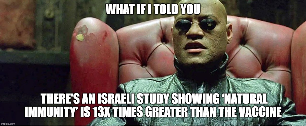 there's an Israeli study showing ‘Natural Immunity’ is 13X times greater than the Vaccine | WHAT IF I TOLD YOU; THERE'S AN ISRAELI STUDY SHOWING ‘NATURAL IMMUNITY’ IS 13X TIMES GREATER THAN THE VACCINE | image tagged in covid19,natural immunity,13x times greater than vaccine,antibodies | made w/ Imgflip meme maker